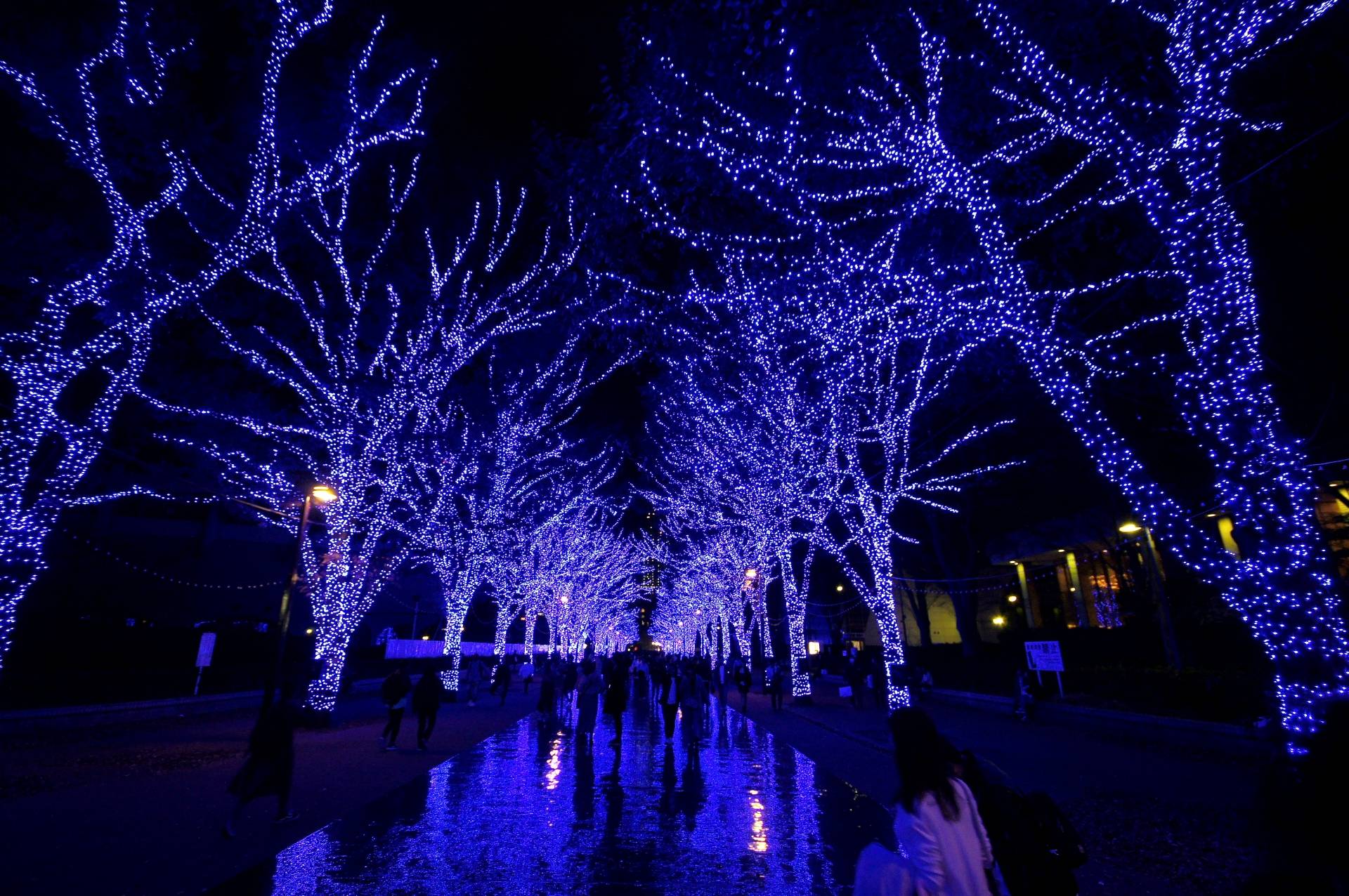 Top 5 things to do in Christmas