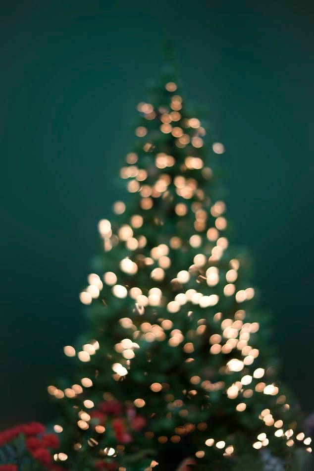 Top 5 things to do in Japan during Christmas