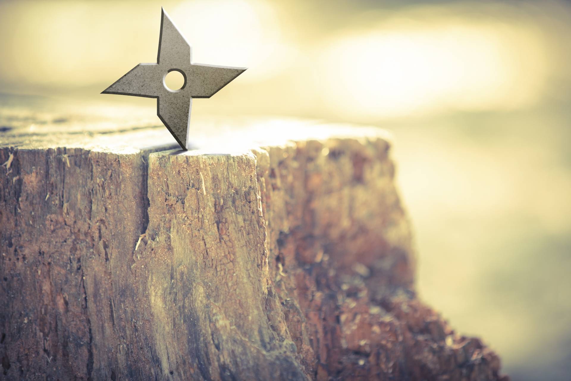 A Ninja Star