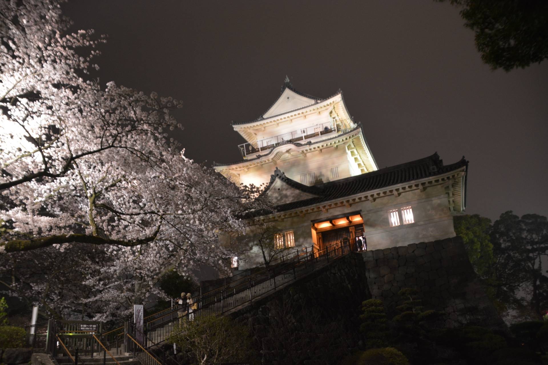 A photo of the Odaawara Castle during the Sakura Season