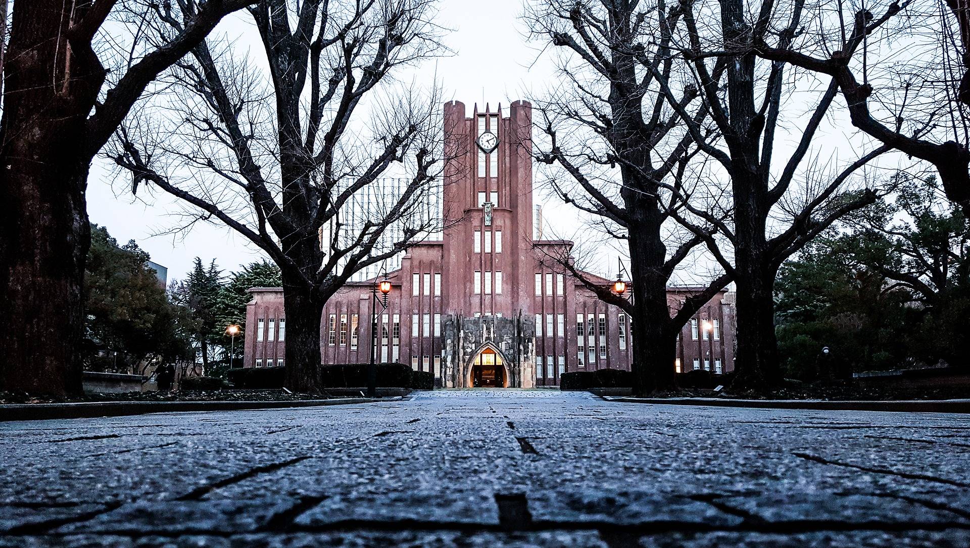 Picture of the Tokyo University