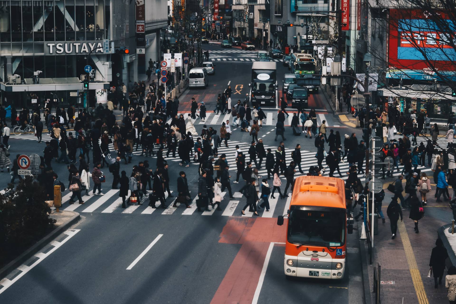 Photo of the Shibuya crossing