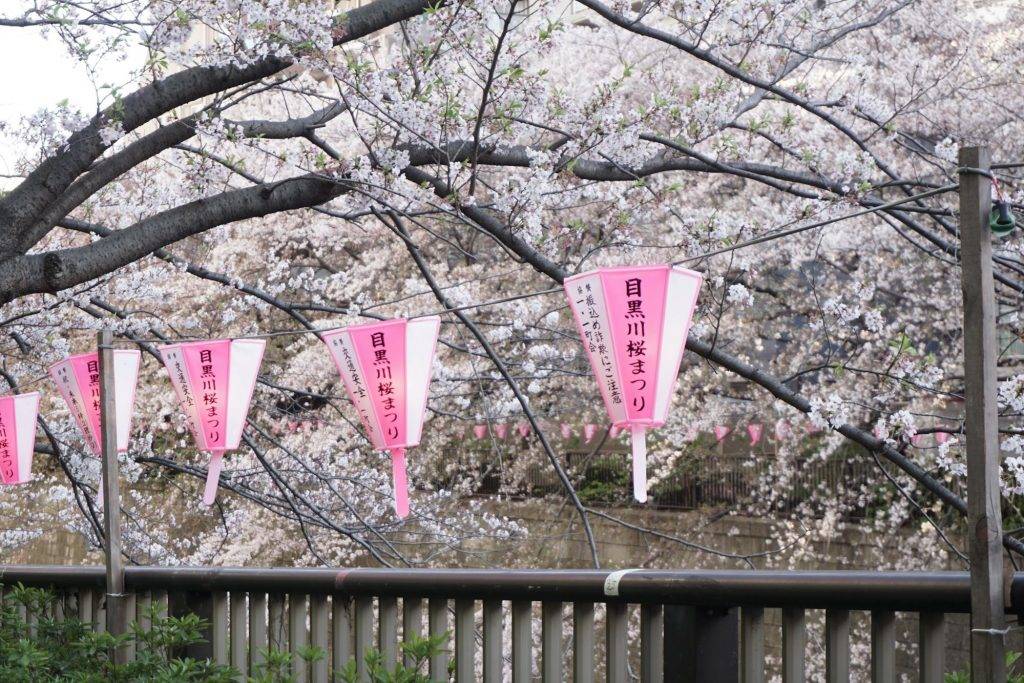 Why is Meguro a good place to live in Tokyo?