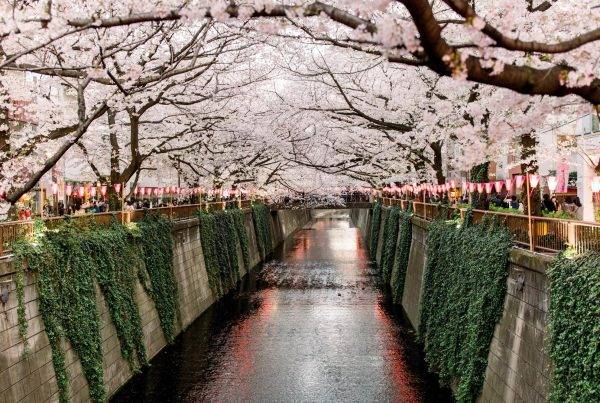 What is Meguro known for?