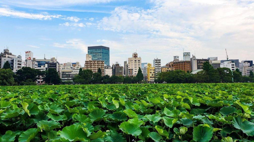 Why Ueno is the good place to live in Tokyo?