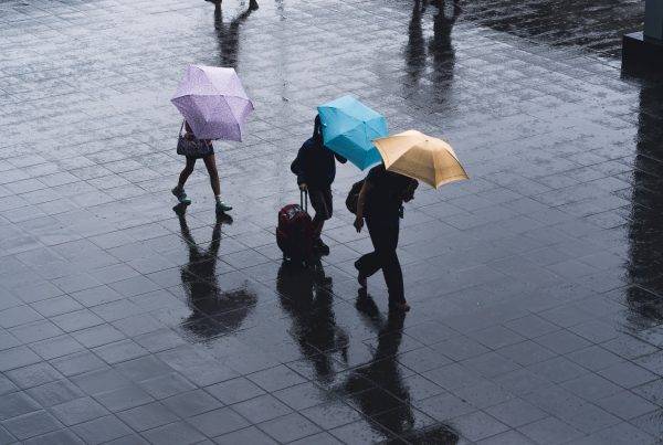 What should we do in case of typhoon in Japan?