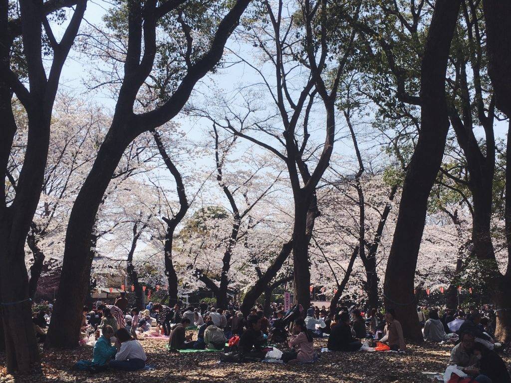 上野エリアの特徴